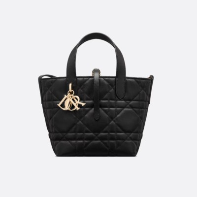 小号 Dior Toujours 竖版手袋