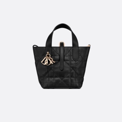 微型 Dior Toujours 竖版手袋