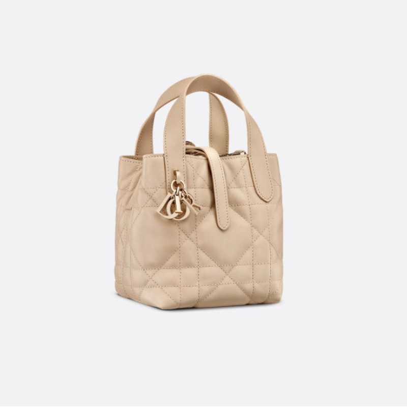 微型 Dior Toujours 竖版手袋
