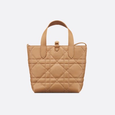 小号 Dior Toujours 竖版手袋
