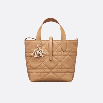 小号 Dior Toujours 竖版手袋