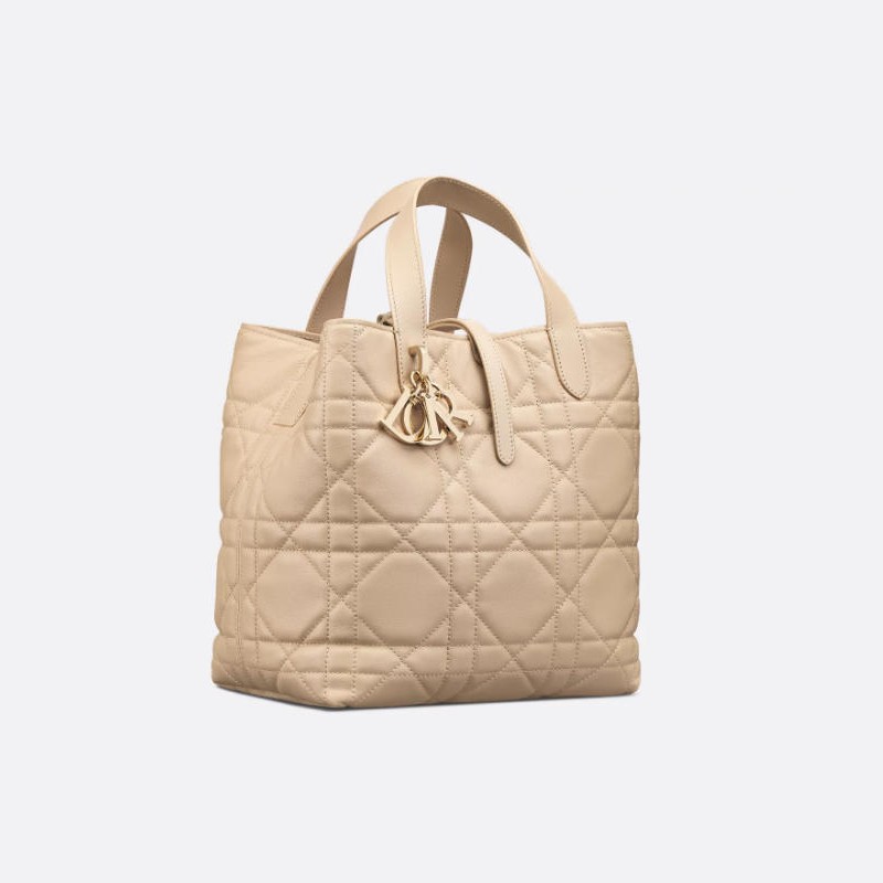 中号 Dior Toujours 竖版手袋