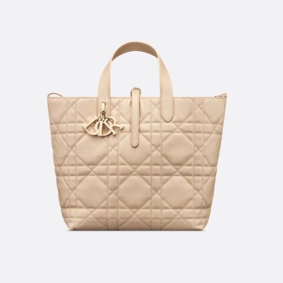 中号 Dior Toujours 竖版手袋