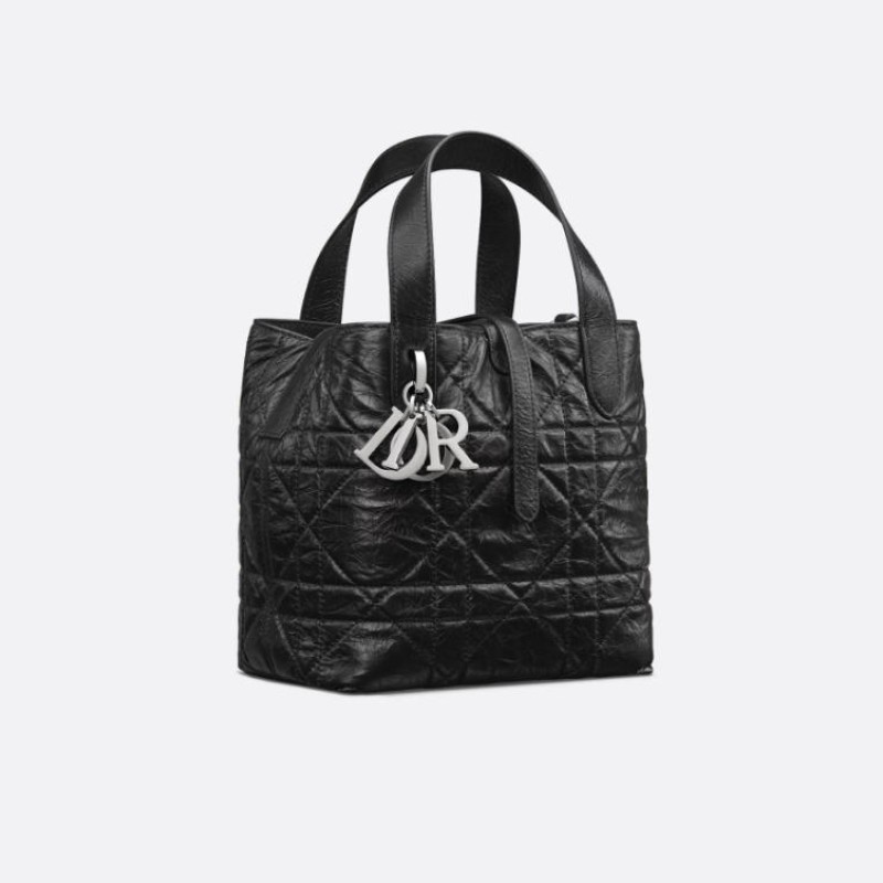 小号 Dior Toujours 竖版手袋
