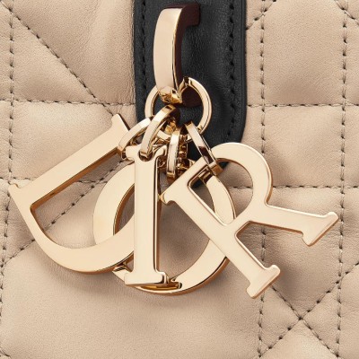 中号 Dior Toujours 手袋
