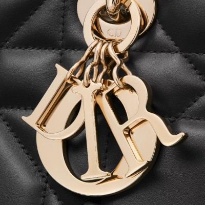 中号 Lady D-Sire My ABCDior 手袋 中号 Lady D-Sire My ABCDior 手袋