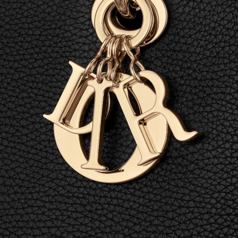 中号 Lady D-Sire My ABCDior 手袋 中号 Lady D-Sire My ABCDior 手袋